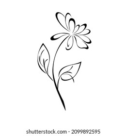 stylized blossoming flower on a stem with two leaves. graphic decor