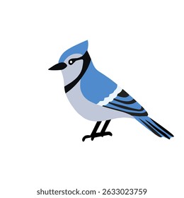 A stylized blue jay with vibrant blue feathers and bold black markings. Ideal for educational designs, nature themes, and wildlife artwork