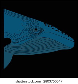 Stylized blue whale head vector illustration on black background. Elegant line art of a humpback whale showing detailed baleen plates, eye, and textured skin. Bold deep blue color with high contrast. Modern minimalist marine wildlife art perfect for ocean themes, conservation, tattoos, and decorative designs.