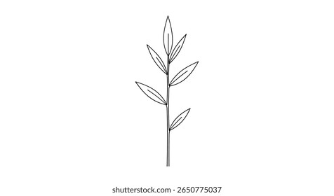 A stylized botanical illustration of a delicate plant stalk with elongated leaves