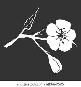 Stylized bough of apricot tree with flower, bud and leaf. Isolated white silhouette on dark gray background. Design element, emblem, logo.