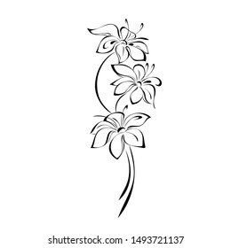 stylized bouquet of three blossoming flowers in black lines on a white background