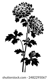 Stylized branch of chrysanthemum with flowers and leaves in black and white colors