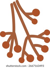 A stylized branch with circular ends in a simple cartoon style. The illustration shows a tree-like form with rounded nodes on its limbs. Cartoon vector illustration.