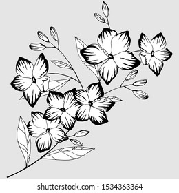 Stylized Branch Flowers Black White Stock Vector (Royalty Free ...