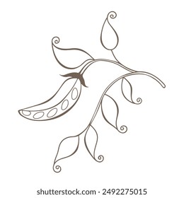 Stylized branch of green Pea pod with leaves and climbing shoots, isolated on white background. Vector illustration