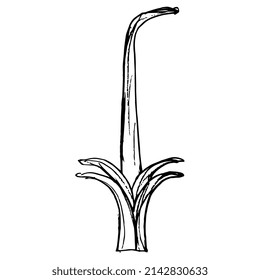 Stylized branch of reed plant. Ancient Egyptian hieroglyph. Hand drawn linear doodle rough sketch. Black silhouette on white background.