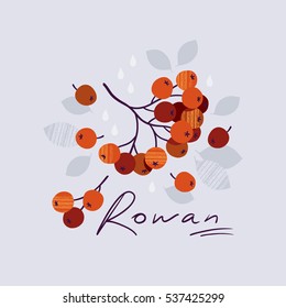 Stylized branch of rowan. Hand drawn texture