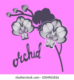 Stylized branches orchid flowers on pink background and hand drawn calligraphy phrase. Brush pen lettering. Can be used for printing on wrapping paper, creating card, postcard. Vector illustration.
