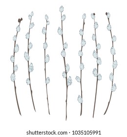 Stylized branches of a willow on a white background. Elements of Easter design. Vector illustration