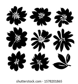Stylized brush flowers vector set. Ink drawing flowers and plants, monochrome artistic botanical illustration. Isolated botanical elements, hand drawn illustration. Black ink brush strokes textures. 