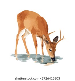 Stilisiertes Rehwild, das aus einem Teich trinkt. Perfekt für Projekte zum Thema Natur, Artenschutz und Tiergrafiken.