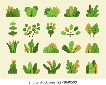 Stylized bushes. Green grass leaves and bushes collection for gardenning backgrounds recent vector flat templates set isolated