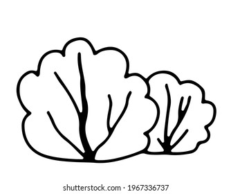 Stylized bushes. Illustration of a tree hand-drawn in doodle style with an outline for print, web, mobile, isolated on a white background. Vector