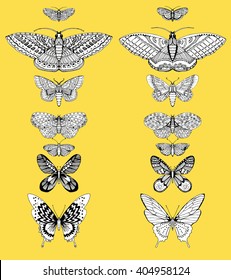 Stylized butterflies. Set butterflies. Decorative insects. Line art. Black and white drawing by hand. Dudling. Zentangl.