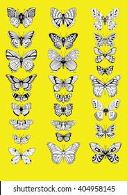 Stylized butterflies. Set butterflies. Decorative insects. Line art. Black and white drawing by hand. Dudling. Zentangl.