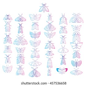 Stylized butterflies. Set butterflies. Decorative insects. Line art. Black and white drawing by hand. Dudling. Zentangl.