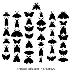 Stylized butterflies. Set butterflies. Decorative insects. Line art. Black and white drawing by hand. Dudling. Zentangl.