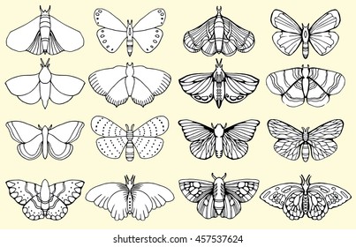 Stylized butterflies. Set butterflies. Decorative insects. Line art. Black and white drawing by hand. Dudling. Zentangl.