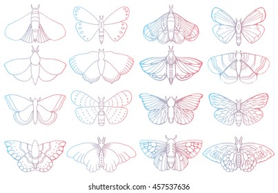 Stylized butterflies. Set butterflies. Decorative insects. Line art. Black and white drawing by hand. Dudling. Zentangl.