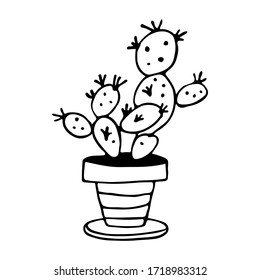 stylized cactus vector drawing on a white background