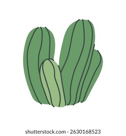 Stylized cartoon cactus, desert plant illustration