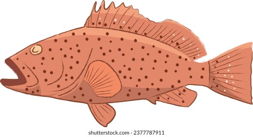 Stylized cartoon coney grouper fish with simplified brush stroke outlines. Vector illustration of the concept of sea creatures