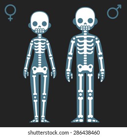 Stylized cartoon male and female skeletons with corresponding gender symbols.