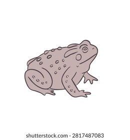 A stylized cartoon style drawing of a brown toad with warty skin and detailed body markings on a plain white background