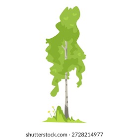 Stylized cartoon tree with curly green foliage and thin trunk on white background, symbolizing nature and forest. Vector illustration