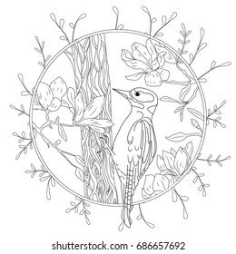 stylized cartoon woodpecker on tree branch. Hand drawn sketch for adult antistress coloring page.