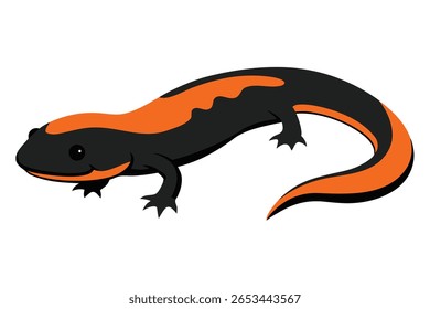A stylized, cartoon-like illustration features a black salamander with vibrant orange markings along its back and tail. The creature has a friendly expression and is depicted on a clean white