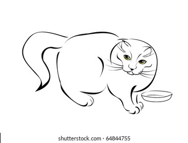 Stylized cat with colored eyes