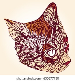 stylized cat portrait in orange and yellow