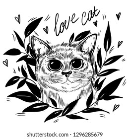 Stylized cat in a wreath of leaves. Template for cards and any printing products, printing on clothing. Vector illustration.