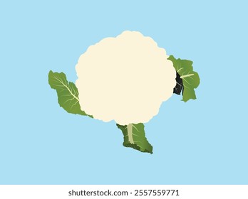 Stylized Cauliflower Vector for Modern Graphics and Branding