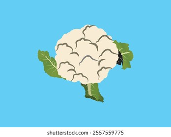 Stylized Cauliflower Vector for Modern Graphics and Branding