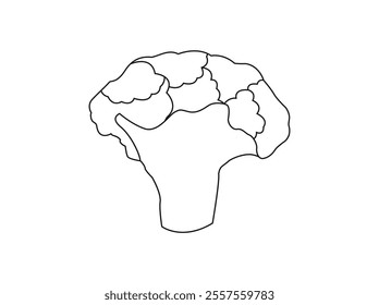 Stylized Cauliflower Vector for Modern Graphics and Branding