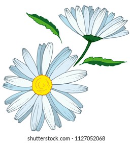 A stylized chamomile flower on a white background