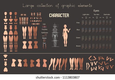 Stylized characters set for animation. Female model
