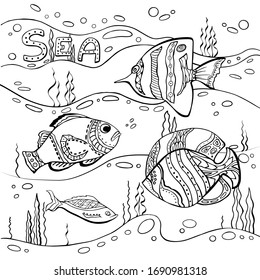 Composición estilizada de peces tropicales, algas submarinas. Colección de páginas adultas de colorante anti-estrés con elementos Doodle y zentangle.