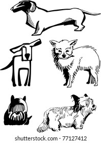 stylized, contour image of dogs of various breeds.