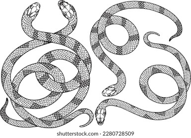 Stylized contour snakes. Line art, sketch style, tattoo, design elements