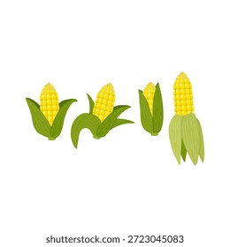 Maíz estilizado con cáscaras verdes y granos amarillos, perfecto para temas agrícolas, de cosecha, alimentarios o educativos. Colores brillantes y Formas simplificadas ideales para impresión, Web y uso de embalaje.