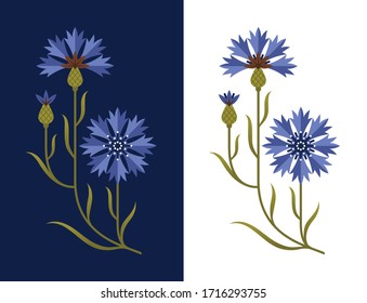 Stylized cornflower vector illustration. Blue field flower. Decorative floral design element.