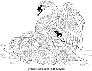 Stylized couple of swans swimming in the pond or lake water. Freehand sketch for adult anti stress coloring book page with doodle and zentangle elements.