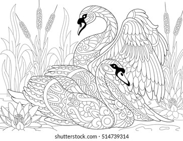 Stylized couple of two swans among lotus flowers (water lilies) and pond plants. Freehand sketch for adult anti stress coloring book page with doodle and zentangle elements.