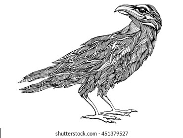 Stylized crows. Decorative bird. Line art. Rook. Black and white drawing by hand. Doodle. Zentangle. Tattoo. Graphic arts.