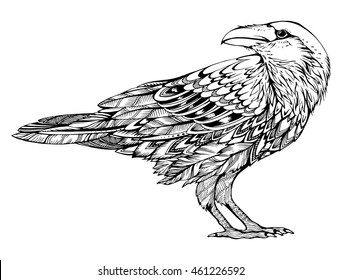 Stylized crows. Decorative bird. Line art. Rook. Black and white drawing by hand. Doodle. Zentangle. Tattoo. Graphic arts.