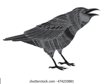 Stylized crows. Decorative bird. Line art. Rook. Black and white drawing by hand. Doodle. Zentangle. Tattoo. Graphic arts.